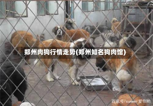 郑州肉狗行情走势(郑州知名狗肉馆)-第2张图片
