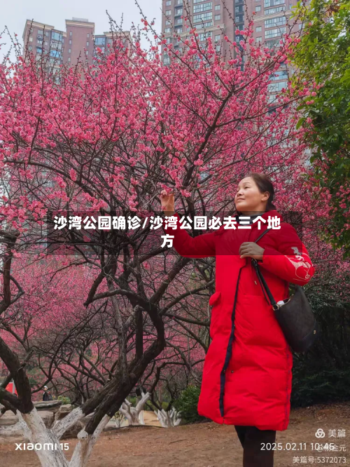 沙湾公园确诊/沙湾公园必去三个地方-第2张图片