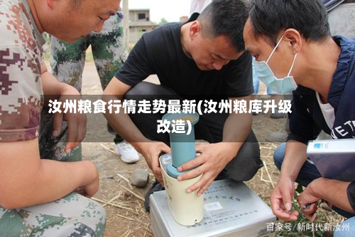 汝州粮食行情走势最新(汝州粮库升级改造)