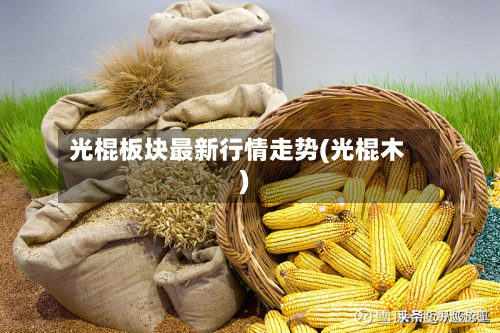 光棍板块最新行情走势(光棍木)