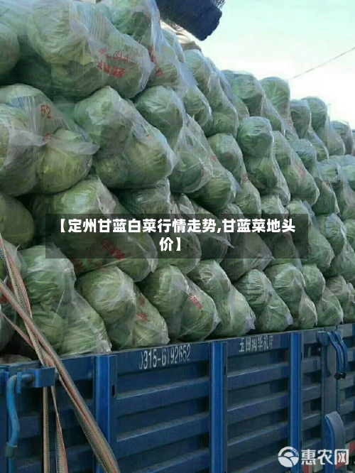 【定州甘蓝白菜行情走势,甘蓝菜地头价】