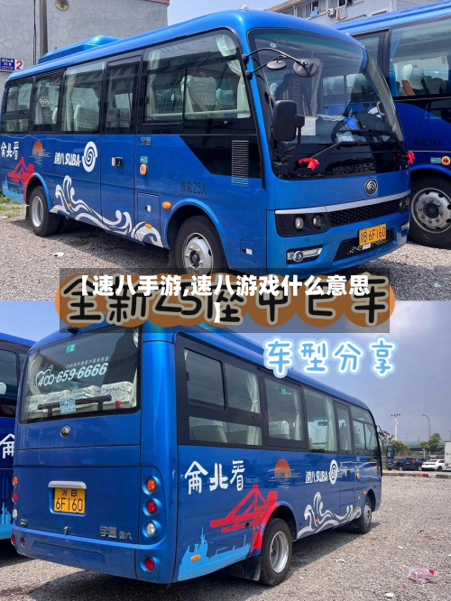 【速八手游,速八游戏什么意思】