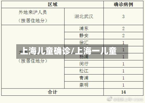 上海儿童确诊/上海一儿童-第2张图片