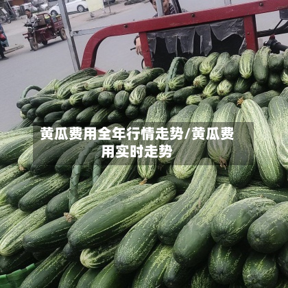 黄瓜费用全年行情走势/黄瓜费用实时走势-第2张图片