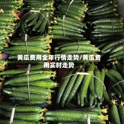 黄瓜费用全年行情走势/黄瓜费用实时走势