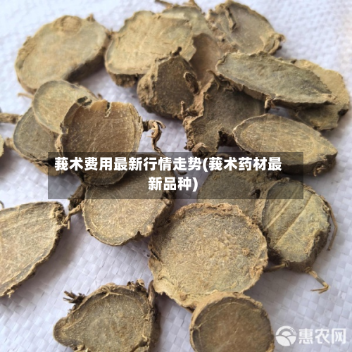 莪术费用最新行情走势(莪术药材最新品种)