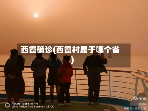 西霞确诊(西霞村属于哪个省)