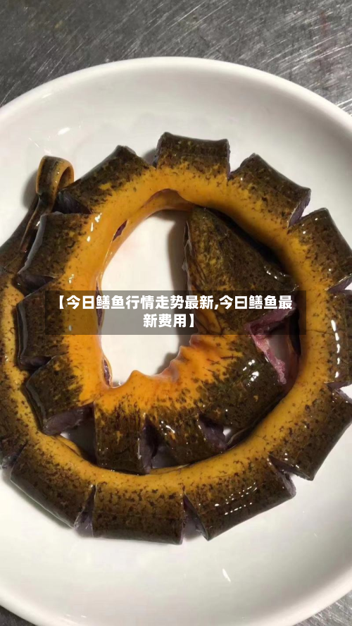 【今日鳝鱼行情走势最新,今曰鳝鱼最新费用】