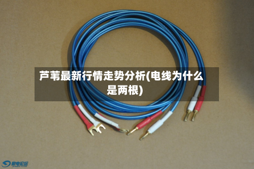 芦苇最新行情走势分析(电线为什么是两根)