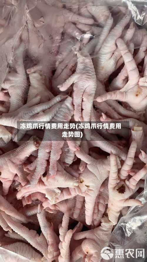 冻鸡爪行情费用走势(冻鸡爪行情费用走势图)-第2张图片