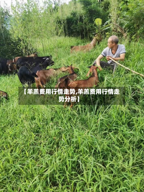 【羊羔费用行情走势,羊羔费用行情走势分析】