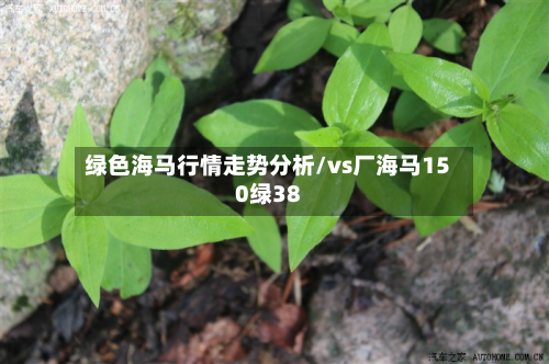 绿色海马行情走势分析/vs厂海马150绿38