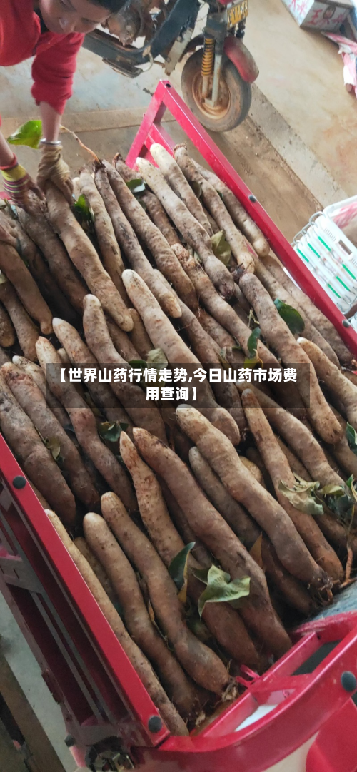 【世界山药行情走势,今日山药市场费用查询】-第2张图片