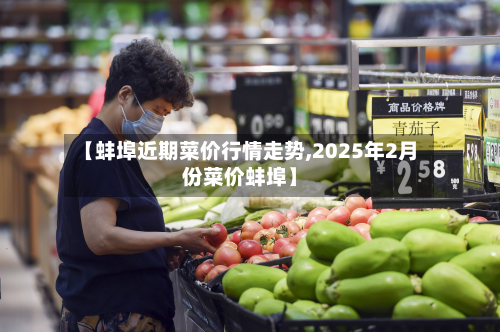 【蚌埠近期菜价行情走势,2025年2月份菜价蚌埠】