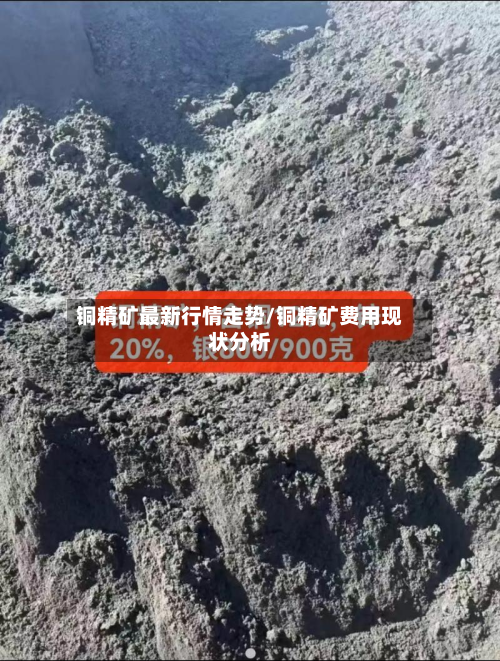 铜精矿最新行情走势/铜精矿费用现状分析