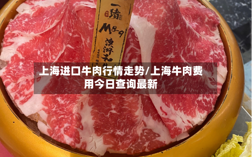 上海进口牛肉行情走势/上海牛肉费用今日查询最新