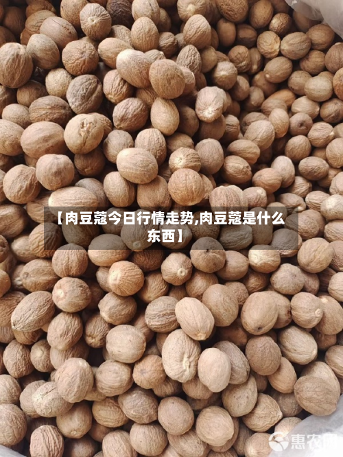 【肉豆蔻今日行情走势,肉豆蔻是什么东西】