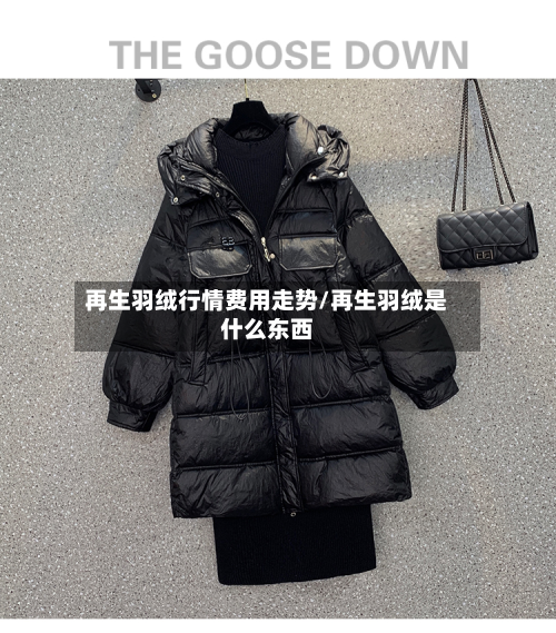 再生羽绒行情费用走势/再生羽绒是什么东西