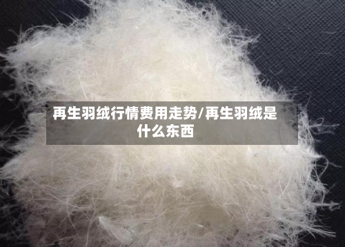 再生羽绒行情费用走势/再生羽绒是什么东西-第2张图片