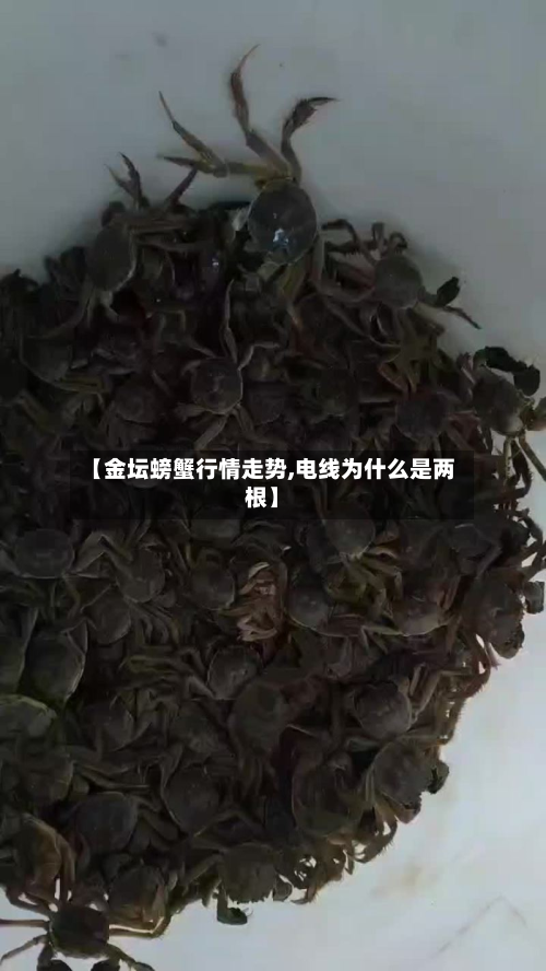 【金坛螃蟹行情走势,电线为什么是两根】