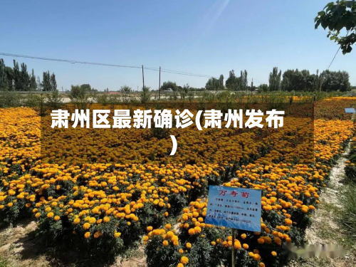 肃州区最新确诊(肃州发布)-第2张图片