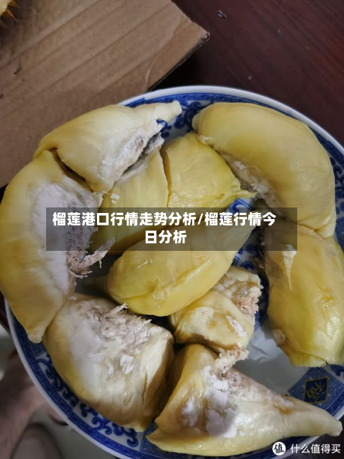 榴莲港口行情走势分析/榴莲行情今日分析