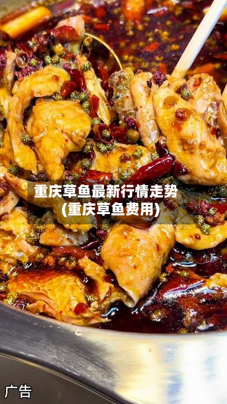 重庆草鱼最新行情走势(重庆草鱼费用)