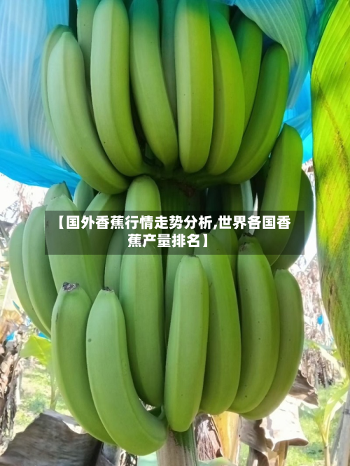 【国外香蕉行情走势分析,世界各国香蕉产量排名】