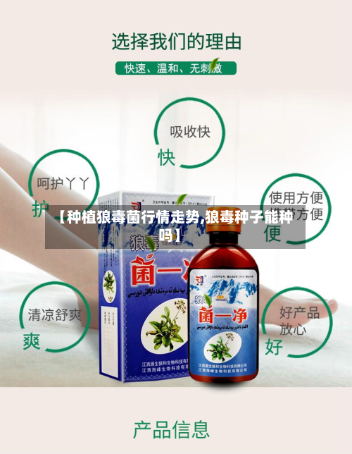 【种植狼毒菌行情走势,狼毒种子能种吗】