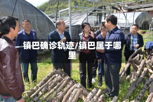 镇巴确诊轨迹/镇巴属于哪里-第3张图片