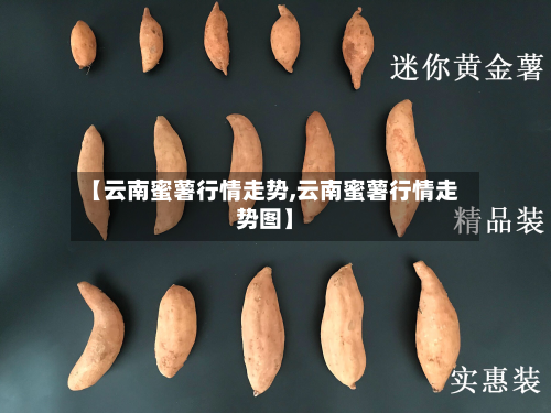 【云南蜜薯行情走势,云南蜜薯行情走势图】