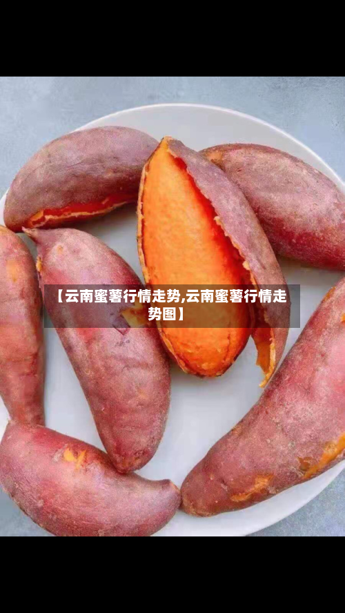 【云南蜜薯行情走势,云南蜜薯行情走势图】-第2张图片
