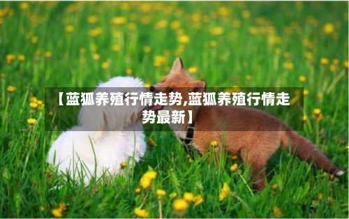【蓝狐养殖行情走势,蓝狐养殖行情走势最新】-第3张图片