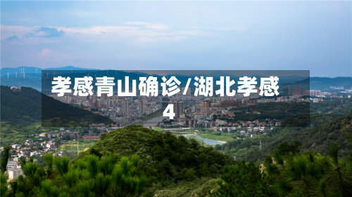 孝感青山确诊/湖北孝感4-第2张图片