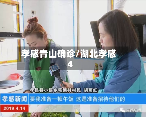 孝感青山确诊/湖北孝感4-第3张图片