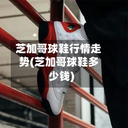芝加哥球鞋行情走势(芝加哥球鞋多少钱)-第2张图片