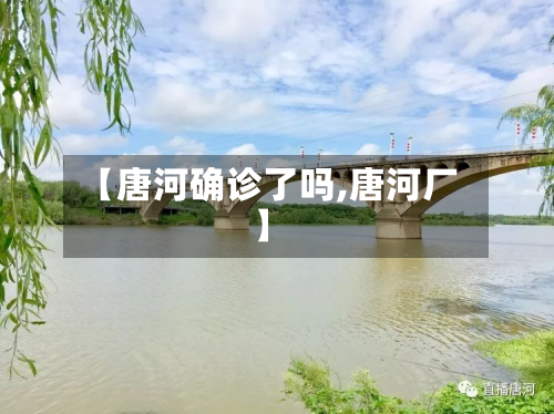【唐河确诊了吗,唐河厂】