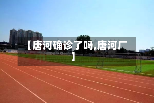 【唐河确诊了吗,唐河厂】-第2张图片