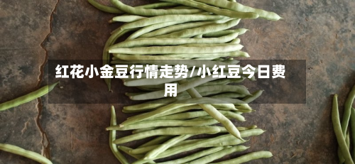 红花小金豆行情走势/小红豆今日费用