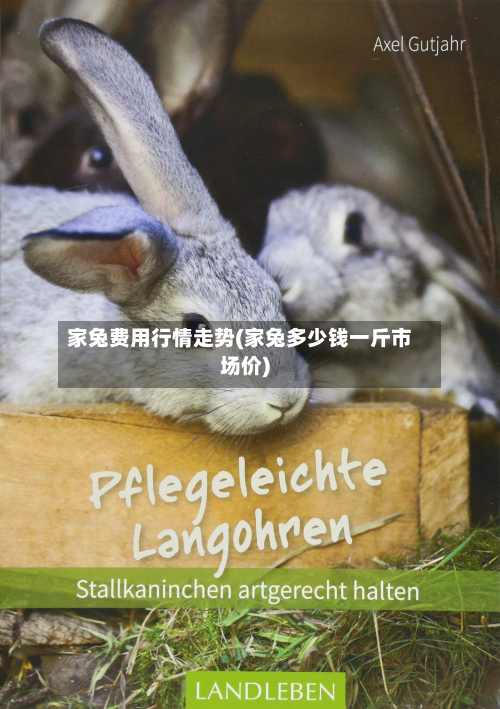 家兔费用行情走势(家兔多少钱一斤市场价)
