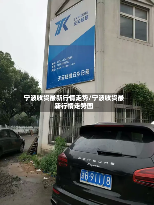 宁波收货最新行情走势/宁波收货最新行情走势图