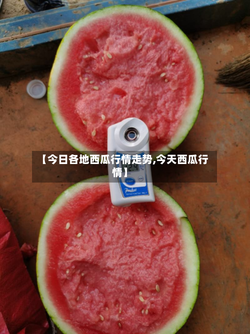 【今日各地西瓜行情走势,今天西瓜行情】