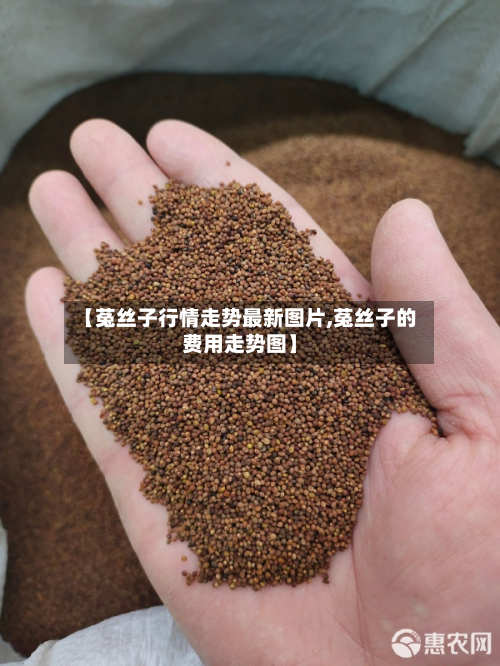 【菟丝子行情走势最新图片,菟丝子的费用走势图】