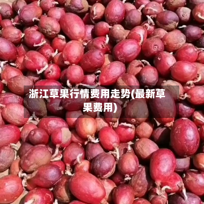 浙江草果行情费用走势(最新草果费用)