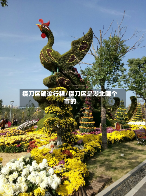 掇刀区确诊行程/掇刀区是湖北哪个市的-第3张图片
