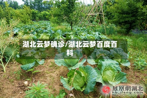 湖北云梦确诊/湖北云梦百度百科