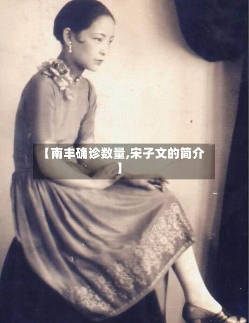 【南丰确诊数量,宋子文的简介】
