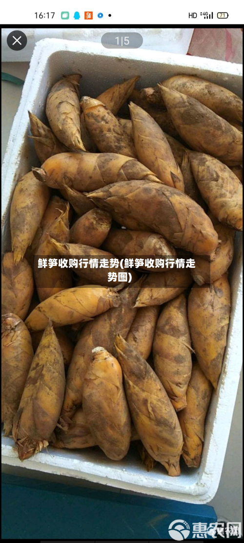 鲜笋收购行情走势(鲜笋收购行情走势图)