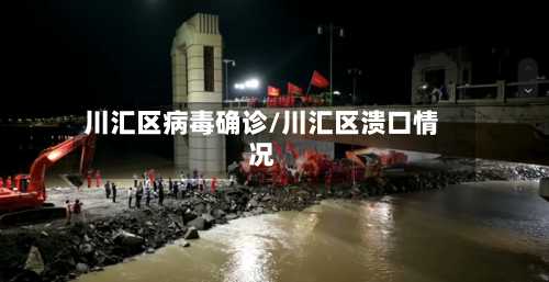 川汇区病毒确诊/川汇区溃口情况