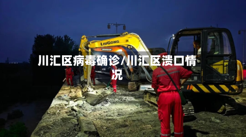川汇区病毒确诊/川汇区溃口情况-第3张图片